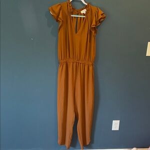 Evereve Terracotta Ruffle Sleeve Dress